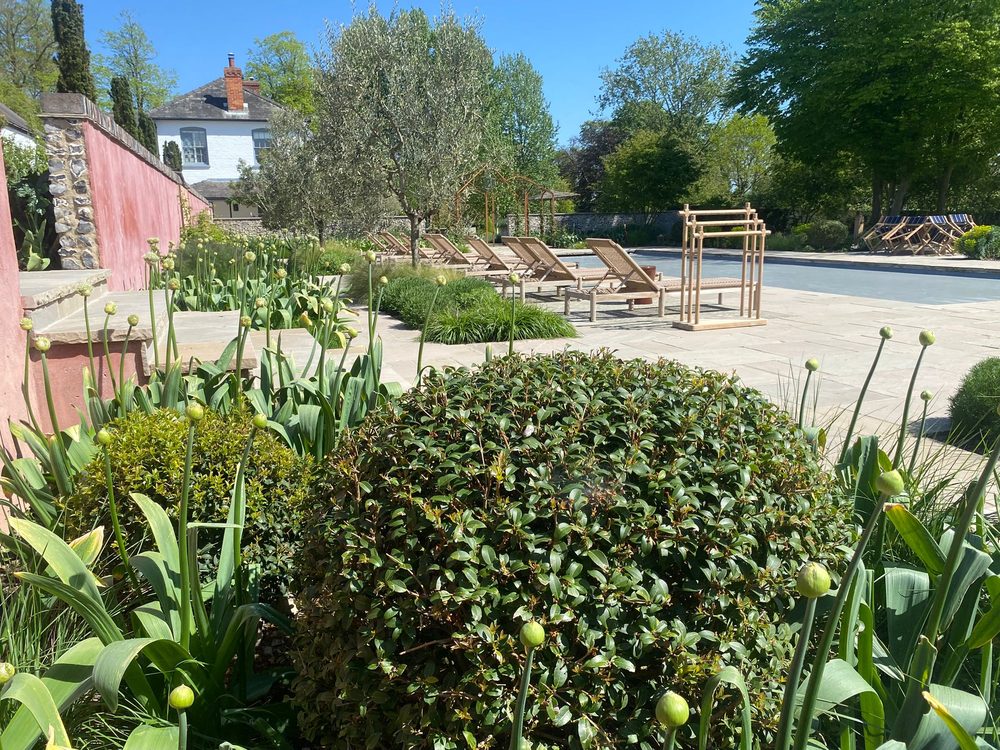 A walled pool garden in Suffolk with paved terrace, planted borders and timber sun-loungers — designed and built by Eastscape